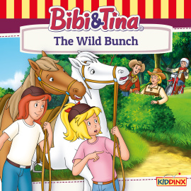 The Wild Bunch Cover