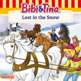 Lost in the Snow Cover