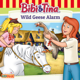 Wild Geese Alarm Cover