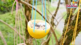 Bastelanleitung Vogelfutter selber machen 