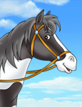 Topsy das liebe Pferd von Frau Martin